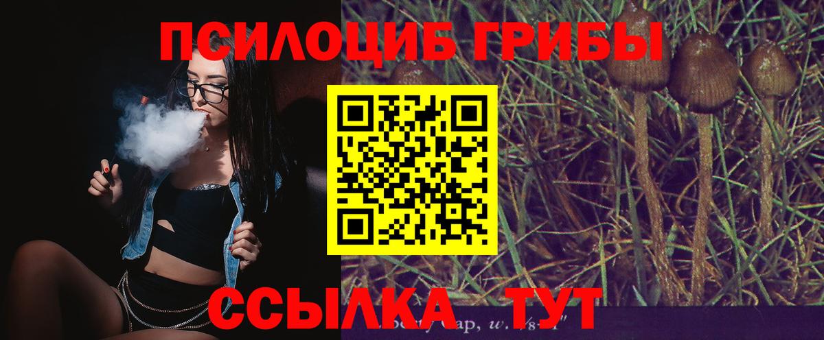 Галлюциногенные грибы мицелий Жигулёвск